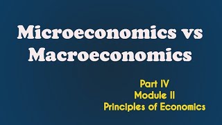 Microeconomics vs Macroeconomics [upl. by Eeclehc596]