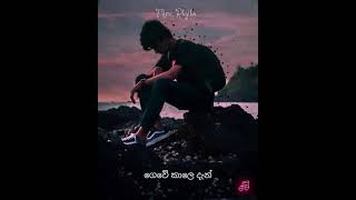 Status song sinhala  Whatsapp status song  Andakare man  sinhala rap short sinhalasong [upl. by Gere978]