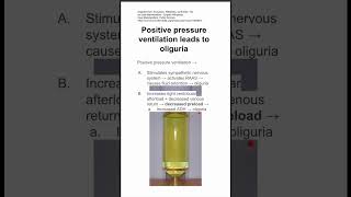 Positive pressure ventilation leads to oliguria [upl. by Akenahc]