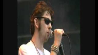 Cracklin Rosie  Shane Macgowan and the Popes  Pinkpop 1995 [upl. by Geirk]