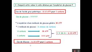 TD sur le catabolisme des acides gras [upl. by Arhsub]