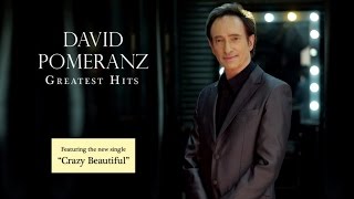 David Pomeranz  Greatest Hits Collection [upl. by Aivato]