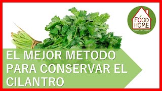 💯Cómo conservar el CILANTRO fresco POR 15 DIAS💯 [upl. by Aryl]