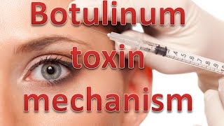 Botulinum toxin mechanism [upl. by Vizza923]