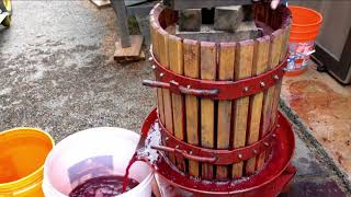 Pressing Grapes [upl. by Enerod]