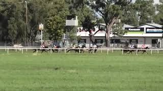 Goondiwindi 20231202 Race 5 [upl. by Snahc]