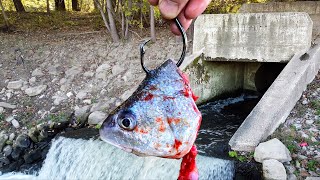 MONSTERS Do Exist in this Hidden SPILLWAY MASSIVE New PB [upl. by Nairehs]