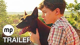 Koko A Red Dog Story  Full Movie  WATCH FOR FREE [upl. by Ellivro863]