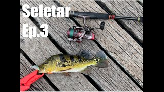 Vesak Day FishingLower Seletar Reservoir Ep3 [upl. by Lohner]