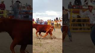 Charreada Tradicional del 88º aniversario del Ejido Zaragoza de Tlahualilo 2024 Tlahualilo Durango [upl. by Baer]