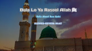 Bula Lo YA Rasool Allahﷺ 💚 Slowedreverb Version  Naat Sharif  By Hafiz Ahmed Raza Qadri [upl. by Vallonia]