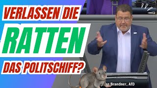 Verlassen die RATTEN schon das Politschiff [upl. by Brodsky]