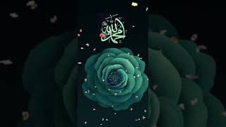 Hasbi rabbi naat shorts islamicmusic islamicstatus viralvideo viralshorts calligraphy [upl. by Aicileb144]