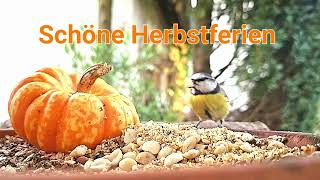 Schöne Herbstferien [upl. by Ennaeus635]