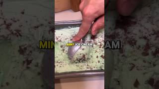 Mint Chocolate Chip Ice Cream 🍨 recipe ↗️ mint icecream icecreamrecipe peppermint [upl. by Ybeloc474]