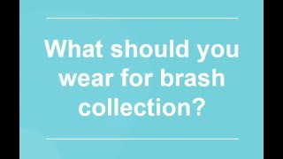 6 Brash Collection What to wear [upl. by Cowles415]