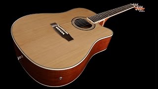 Harley Benton D120CE NT Review by John Robson Guitar Tuition [upl. by Ilanos]