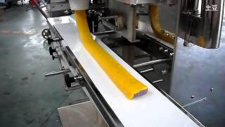 Encrusting Machine making fruit bar [upl. by Asilem]