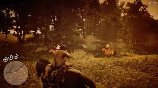 Como obtener el caballo Turcomano Bayo Oscuro en el capitulo 3  Red Dead Redemption 2  Glitch [upl. by Lise]