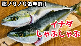 葉山産イナダしゃぶしゃぶ！絶品すぎる！【料理】 [upl. by Eniawd28]