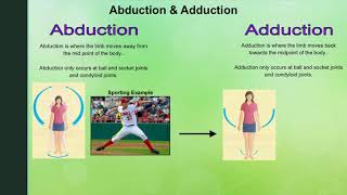 Year 9  Sports Science  Classification of joints and movements possible at different joints [upl. by Imoen]