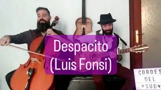 DESPACITO Luis Fonsi COVER [upl. by Akimal]