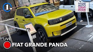 Fiat Grande Panda dal vivo COSA PENSANO LE PERSONE [upl. by Penny886]