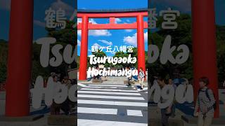 Tsurugaoka Hachimangu Shrine kamakura daytrip tokyotravel traveljapan [upl. by Aneekas]