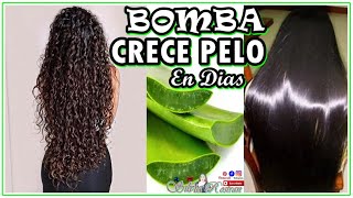 De Cabello Corto a Largo en 7 Días con Estos Consejos [upl. by Chemesh]