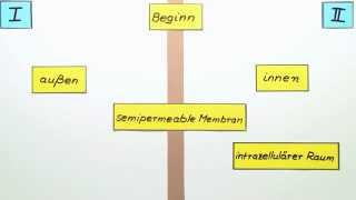 DonnanGleichgewicht  Chemie  Physikalische Chemie [upl. by Glanville240]