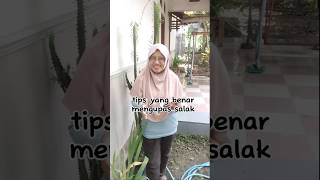 Tips yang benar cara mengupas salak tipsalayusitie buah kupas salak makan tipsandtrick viral [upl. by Rehtse]