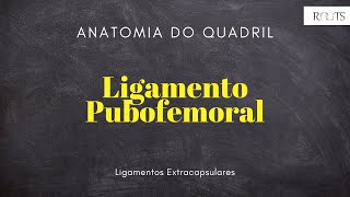 ANATOMIA QUADRIL  SEJA ROOTS  LIGAMENTO PUBOFEMORAL [upl. by Monahon]