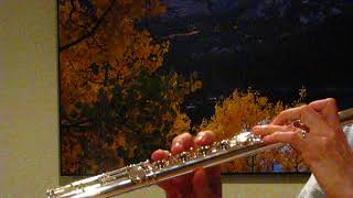 Sankyo Prima Artist Flute Used  Low Register Demo [upl. by Leasi666]