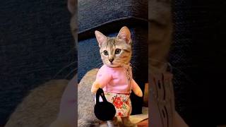 Laugh Out Loud with the FUNNIEST Cat Moments [upl. by Annovad191]