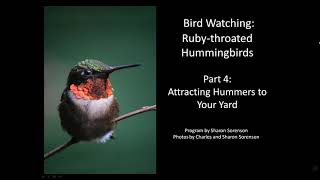 Rubythroated Hummingbirds Attracting Them to Your Yard [upl. by Nelehyram571]