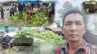 ini kerjaan kami karna sayuran turun harga di pasar pajak roga brastagi [upl. by Einafats]