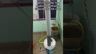 DIY Humidifier For Mushroom Cultivation  Low cost  Noise less  100 useful mushroomfarming [upl. by Avonasac]