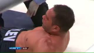 Wladimir Klitschko vs Kubrat Pulev KO [upl. by Dean]