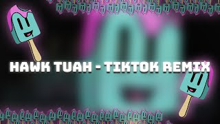 Hawk Tuah  TikTok REMIX [upl. by Nikolaos]