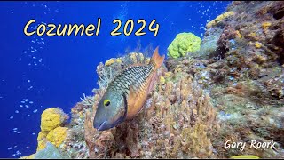 Cozumel Underwater 2024 [upl. by Yelrahc]