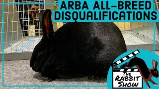 ARBA AllBreed Rabbit Disqualifications aka Rabbit DQs [upl. by Aneryc]