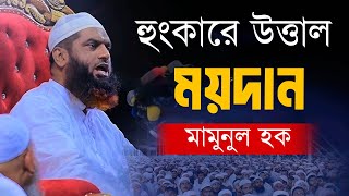 হুংকারে উত্তাল ময়দান  আল্লামা মামুনুল হক  Allama mamunul haque 2024 New Waz 2024 [upl. by Zuzana]