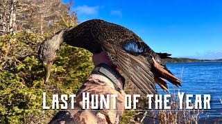 Nova Scotia Duck Hunt  Last Hunt of Season  Catch  Clean  Cook [upl. by Leahsim428]