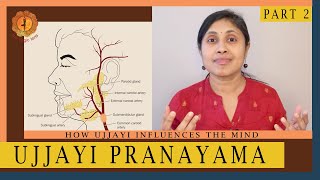 Ujjayi Pranayama  Part 2  The science behind how it influences the mind [upl. by Anpas]