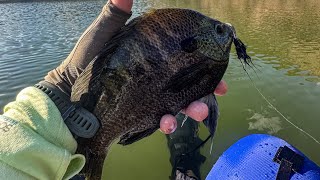 Fishing Barrett Lake for Bass and Big Bluegill [upl. by Engleman]