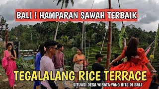 HAMPARAN SAWAH TERBAIK DI DUNIA  TEGALALANG RICE TERRACE BALI [upl. by Hinckley]