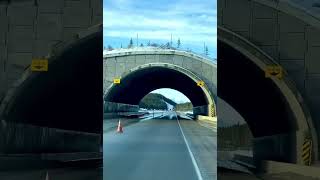 Banff Alberta Accident [upl. by Suneya]