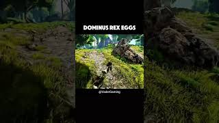 Stealing Indominus Rex Eggs  Ark Survival Ascended 🔥 [upl. by Gaspard843]