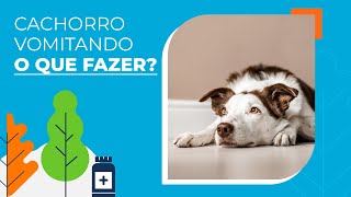 Cachorro vomitando causas sintomas e o que você pode fazer [upl. by Millian912]