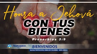 ¡Bienvenidos 🔴 En vivo 📲🖥🎥 👉🏻  Honra a Jehová con tus Bienes  IPUC Lebrija 🗣 [upl. by Ecyrb653]